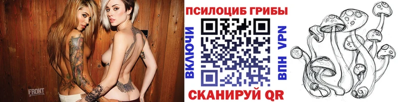 ссылка на мегу маркетплейс  Сычёвка  Псилоцибиновые грибы ЛСД 